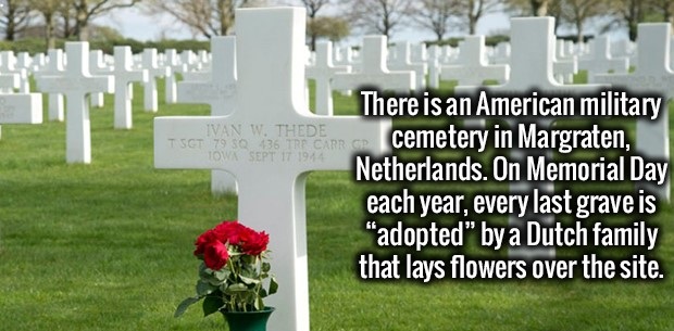 headstone - Tsgt 79 80136 Tre Carr Gr Towsept It 1944 There is an American military cemetery in Margraten, Netherlands. On Memorial Day each year, every last grave is adopted by a Dutch family that lays flowers over the site.