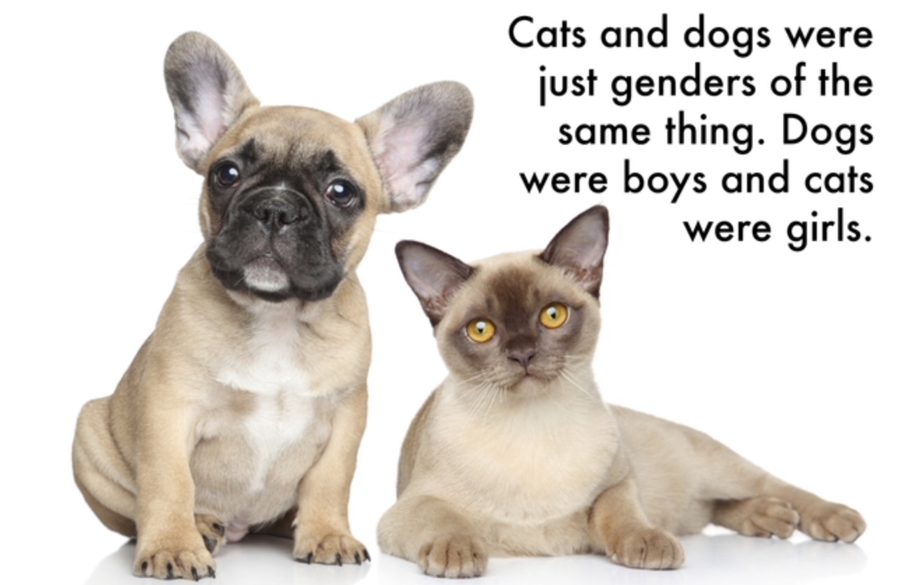 Herba Max - Cats and dogs were just genders of the same thing. Dogs were boys and cats were girls.