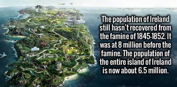34 Amusing Facts To Entertain Your Brain