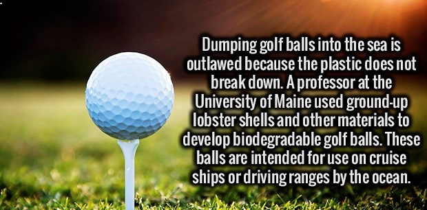 fun golf facts - Dumping golf balls into the sea is outlawed because the plastic does not break down. A professor at the University of Maine used groundup lobster shells and other materials to develop biodegradable golf balls. These balls are intended for