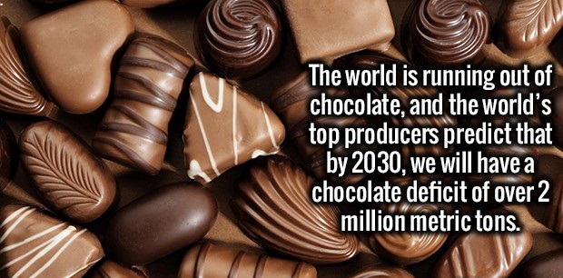 chocolate high resolution - The world is running out of chocolate, and the world's top producers predict that by 2030, we will have a chocolate deficit of over 2 million metric tons.