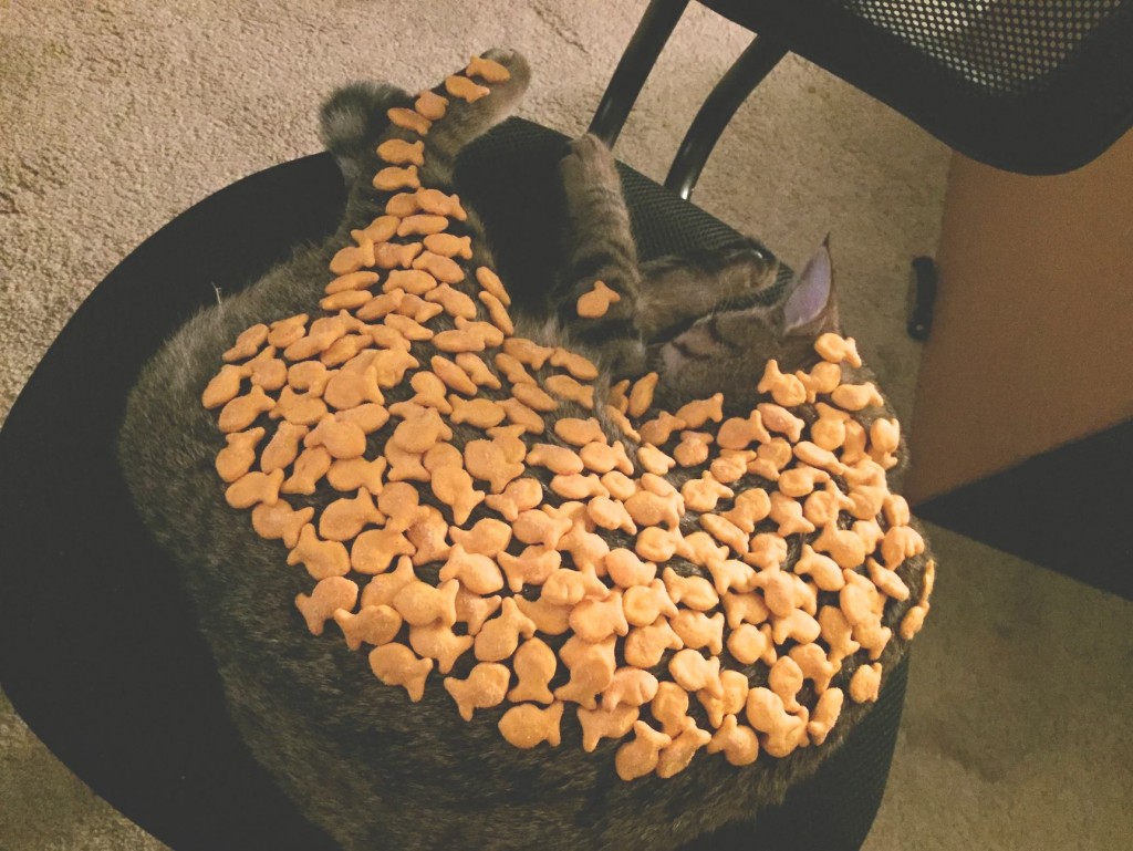 Under all these Goldfish