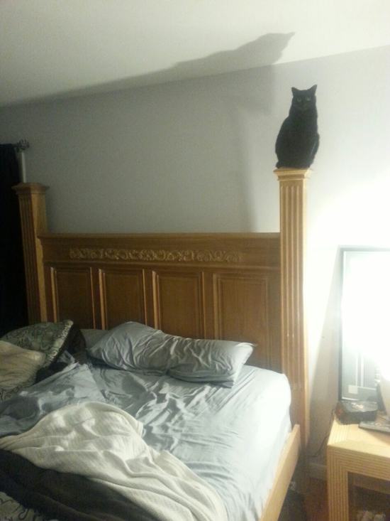 On top of this bedpost
