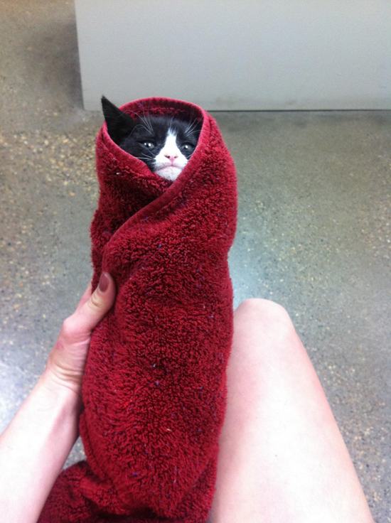 Wrapped up inside this towel