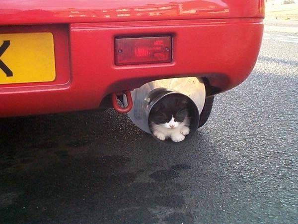 In this exhaust pipe