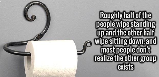 toilet paper - Roughly half of the people wipe standing up and the other half wipe sitting down, and most people don't realize the other group exists