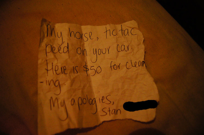 funny notes to strangers - My horse, tic tac peed on your car Here is $50 for clean ing My apologies, Stan
