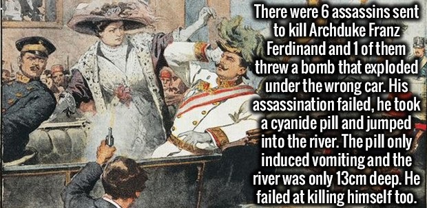 truth is stranger than fiction examples - There were 6 assassins sent to kill Archduke Franz Ferdinand and 1 of them threw a bomb that exploded under the wrong car. His assassination failed, he took a cyanide pill and jumped into the river. The pill only,