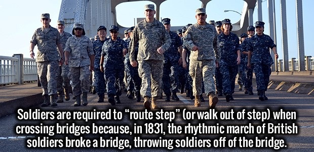 soldier march on bridge - Soldiers are required to "route step" or walk out of step when crossing bridges because, in 1831, the rhythmic march of British soldiers broke a bridge, throwing soldiers off of the bridge.