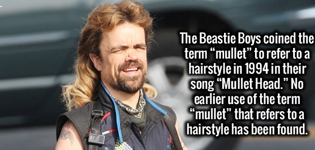 funny beastie boys - The Beastie Boys coined the term mullet to refer to a hairstyle in 1994 in their song "Mullet Head." No earlier use of the term "mullet" that refers to a hairstyle has been found. Com 3