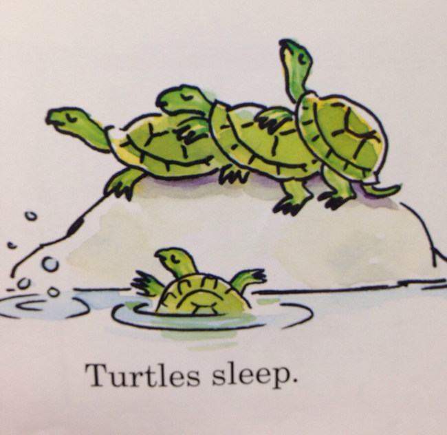 dirty children books - Turtles sleep.