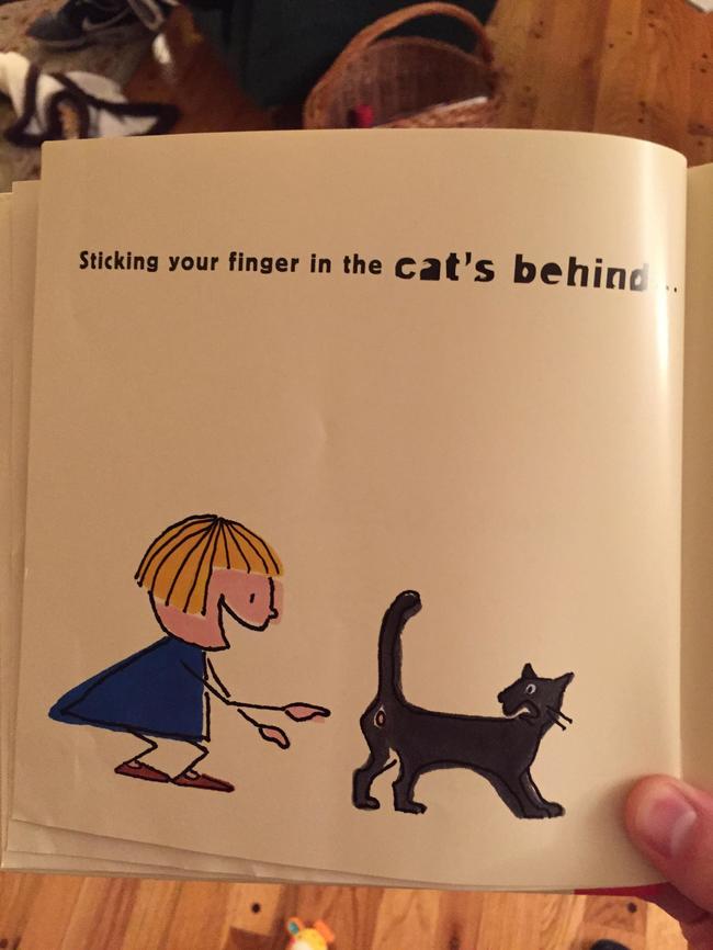 weird children's books - Sticking your finger in the cat