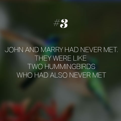 close up - John And Marry Had Never Met They Were Two Hummingbirds Who Had Also Never Met