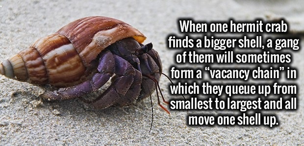 34 Interesting Facts To Entertain Your Brain