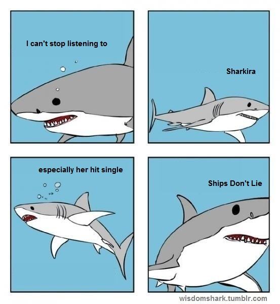 pun shark puns - I can't stop listening to Sharkira especially her hit single o Ships Don't Lie wisdomshark.tumblr.com