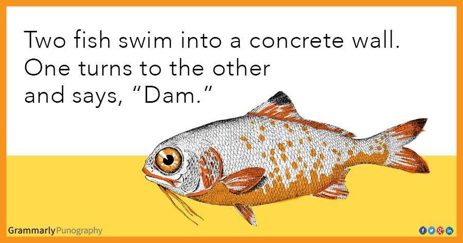 pun two fish swam into a wall - Two fish swim into a concrete wall. One turns to the other and says, "Dam." Grammarly Punography 0000