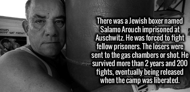 salamo arouch quotes - cuin errr ween There was a Jewish boxer named Salamo Arouch imprisoned at Auschwitz. He was forced to fight fellow prisoners. The losers were sent to the gas chambers or shot. He survived more than 2 years and 200 fights, eventually