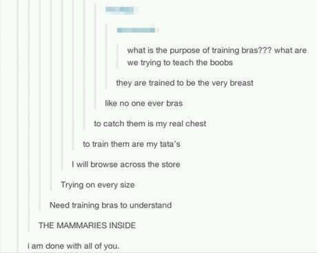diagram - what is the purpose of training bras??? what are we trying to teach the boobs they are trained to be the very breast no one ever bras to catch them is my real chest to train them are my tata's I will browse across the store Trying on every size 