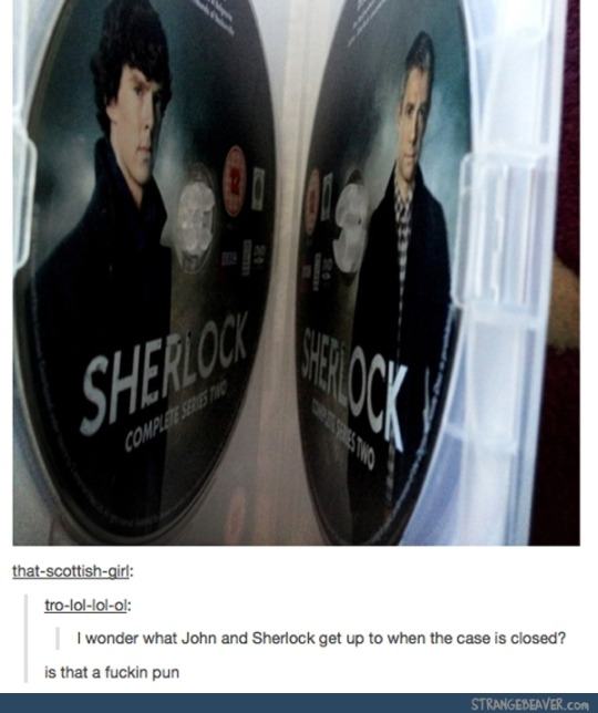 pun tumblr posts - Sherlock Complex thatscottishgirl trolollolol I wonder what John and Sherlock get up to when the case is closed? is that a fuckin pun Strangebeaver.Com