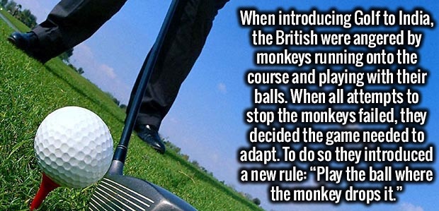 grass - When introducing Golf to India, the British were angered by monkeys running onto the course and playing with their balls. When all attempts to stop the monkeys failed, they decided the game needed to adapt. To do so they introduced a new rule Play
