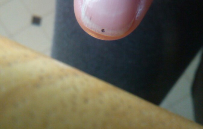 This insanely small lowercase letter "e" on a finger nail.