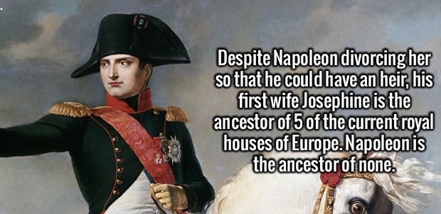 Despite Napoleon divorcing her so that he could have an heir, his first wife Josephine is the ancestor of 5 of the current royal houses of Europe. Napoleon is the ancestor of none.
