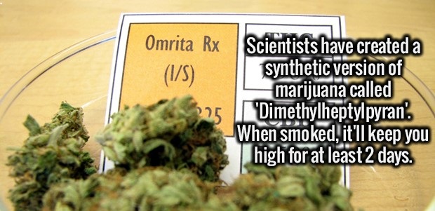leaf vegetable - Omrita Rx 15 Scientists have created a synthetic version of marijuana called 'Dimethylheptylpyran. When smoked, it'll keep you high for at least 2 days. 25