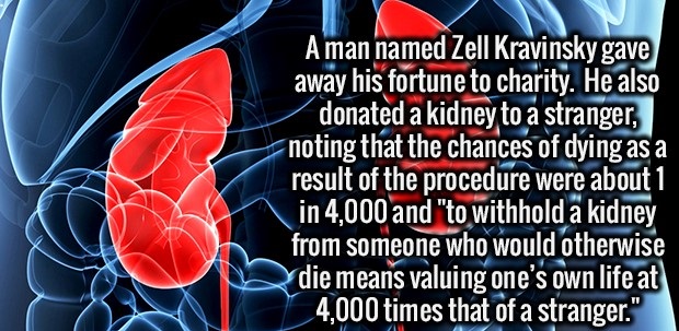 muscle - A man named Zell Kravinsky gave away his fortune to charity. He also donated a kidney to a stranger, noting that the chances of dying as a result of the procedure were about 1 in 4,000 and "to withhold a kidney from someone who would otherwise di