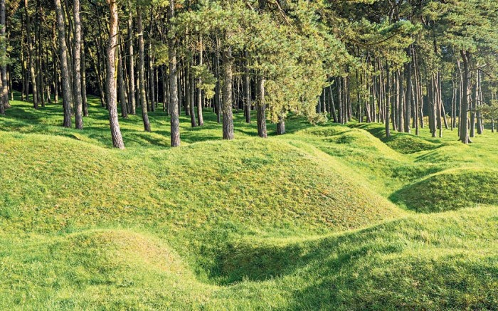 100-year-old World War I trenches in a French forest.