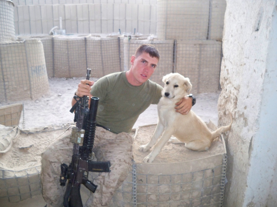Marines and their companions