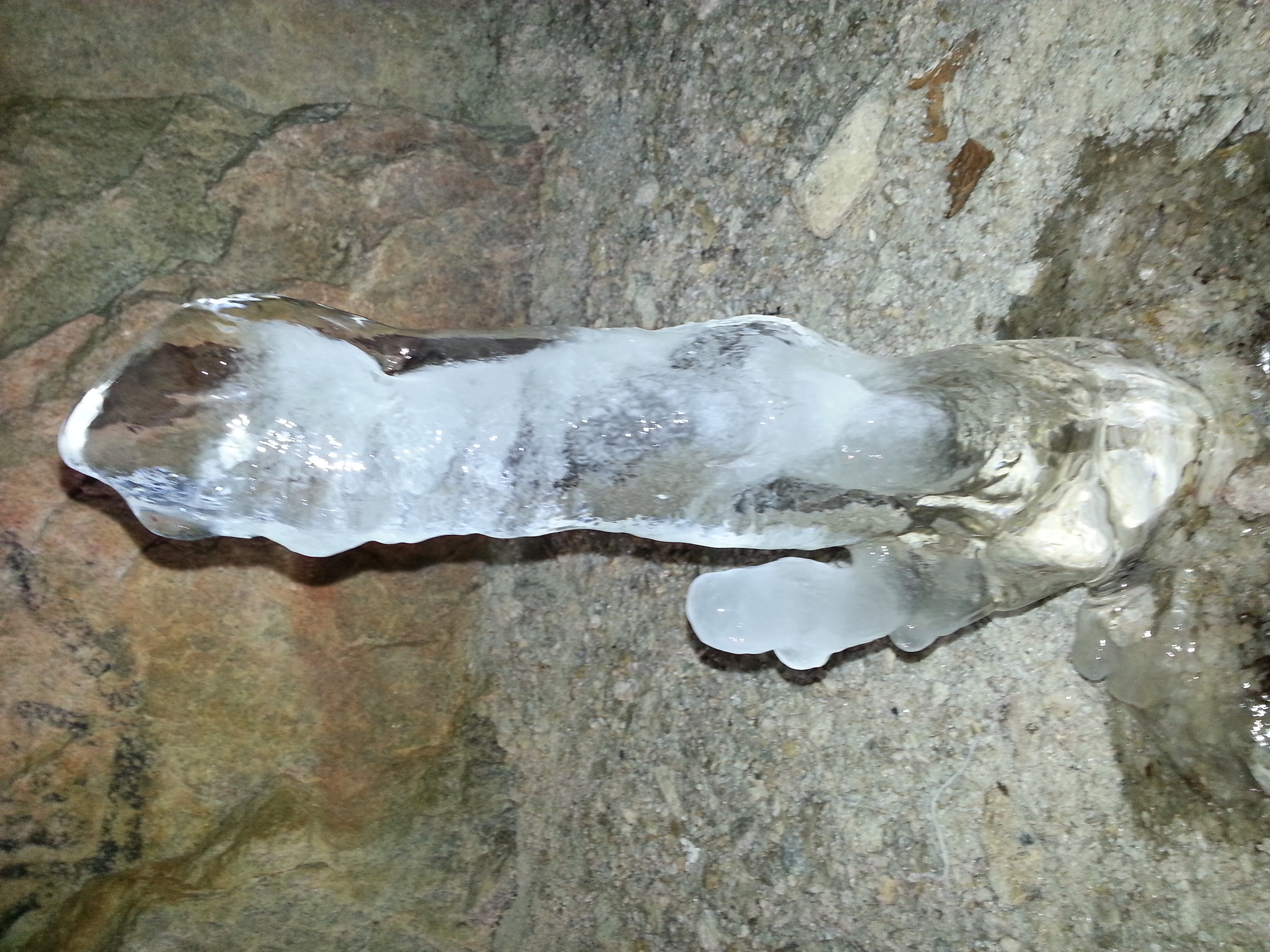 The penis cave