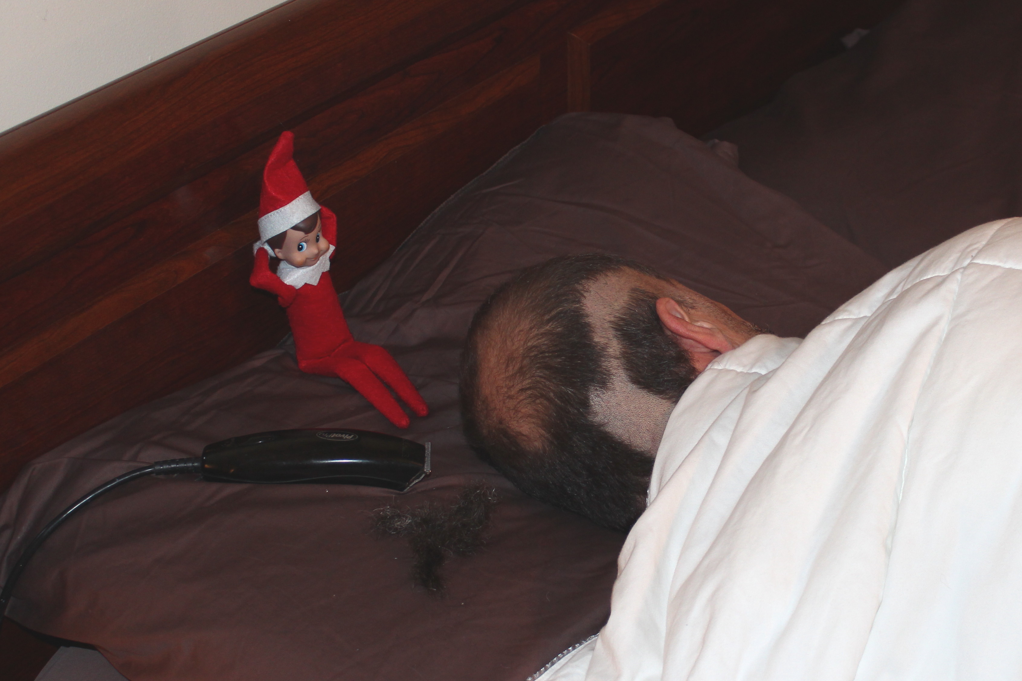 WARNING!!! Keep all electric razors and shavers locked up if you have an Elf in your house! He just may be an Angry Elf!