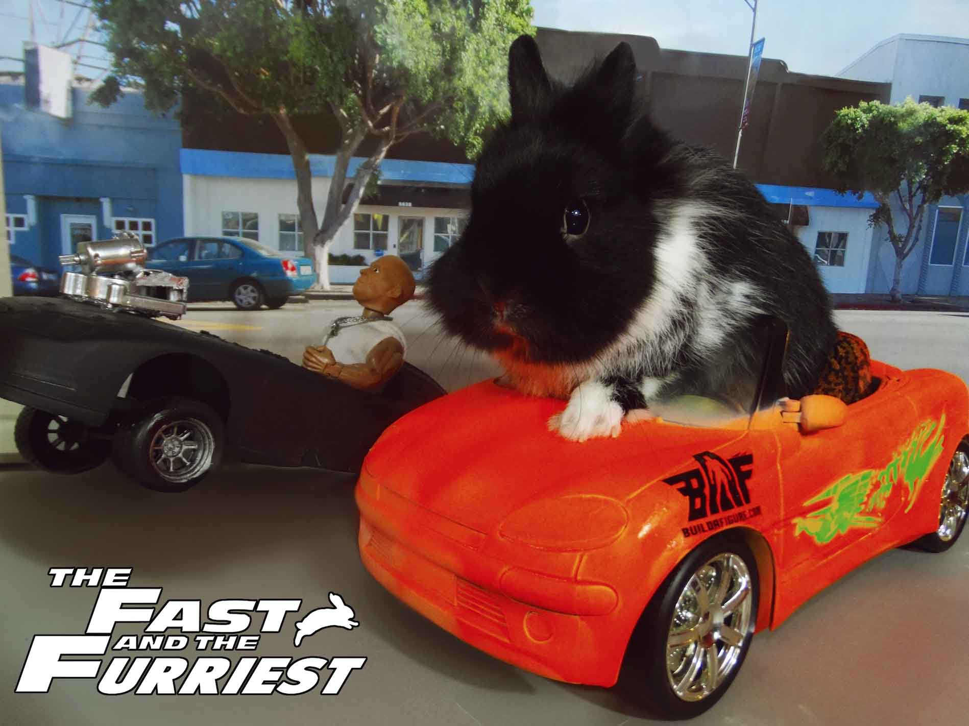 The Fast and the Furriest...