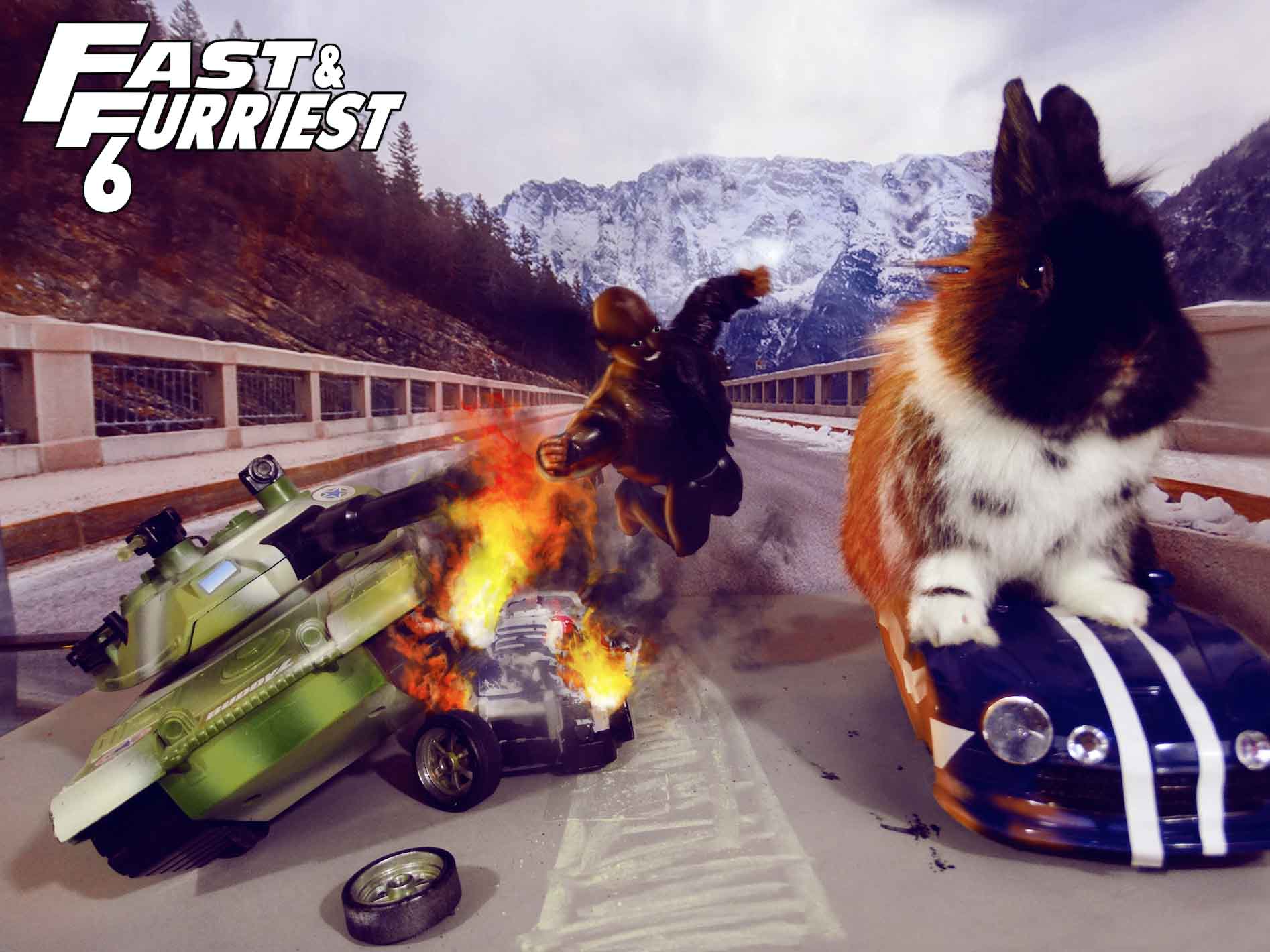 The Fast and the Furriest...