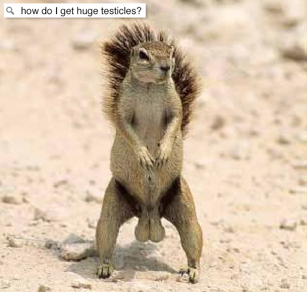 squirrel nut - a how do I get huge testicles?