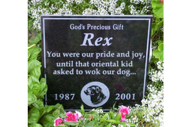 wok the dog - God's Precious Gift Rex You were our pride and joy, until that oriental kid asked to wok our dog... 1987 2001