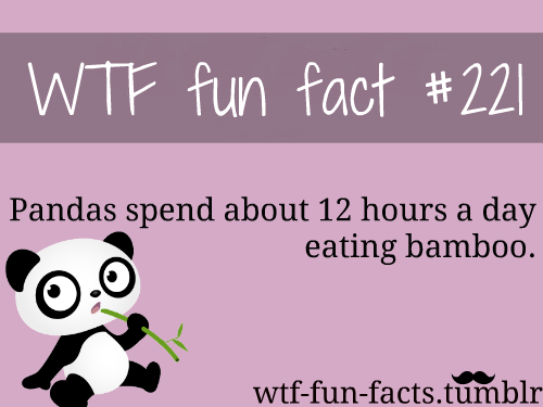 WTF facts
