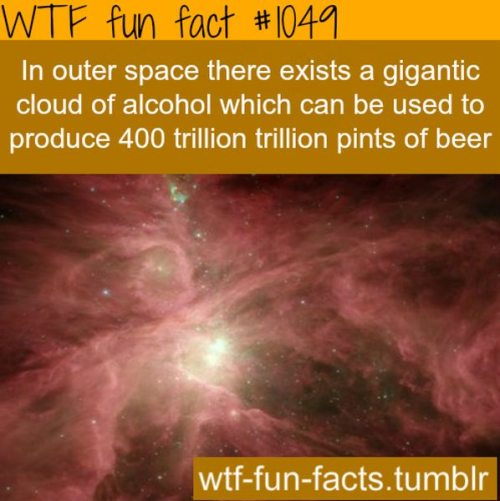 WTF facts