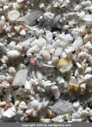 sand magnified