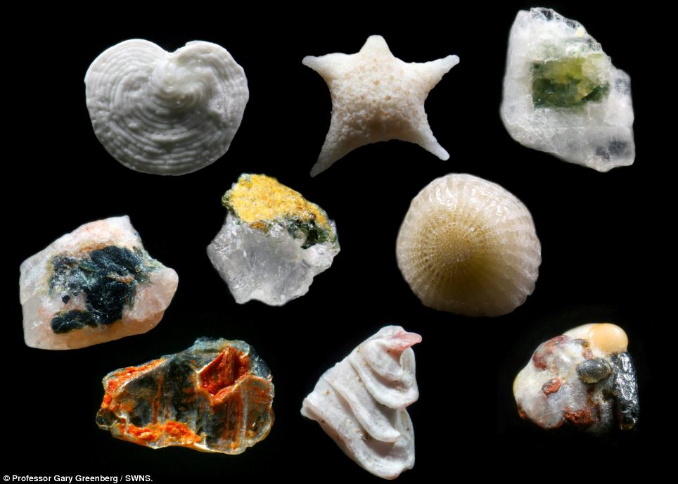 sand magnified