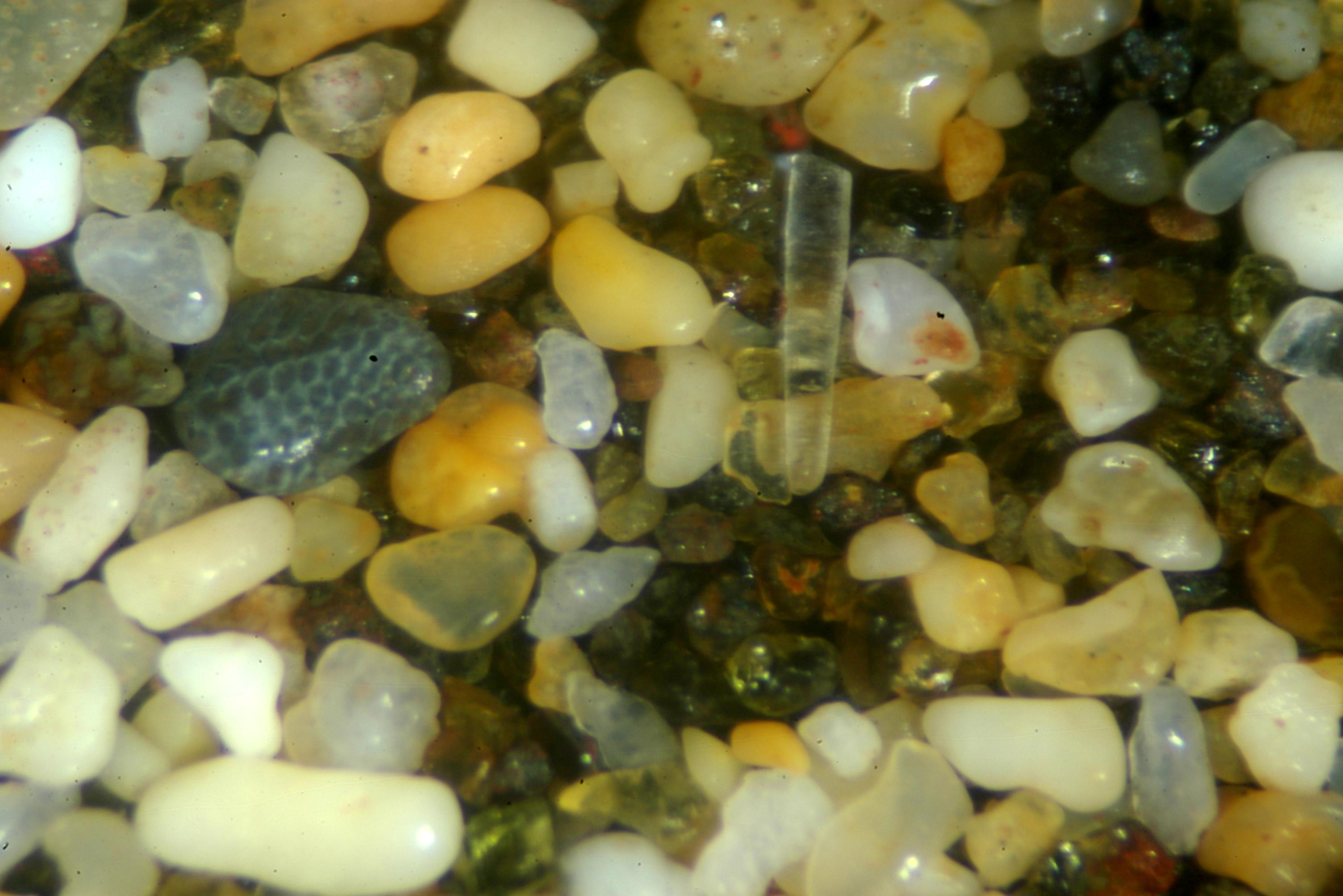 sand magnified