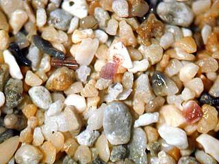 sand magnified