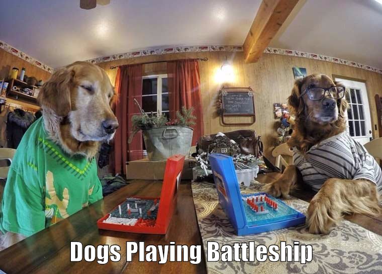 Battleship Dogs