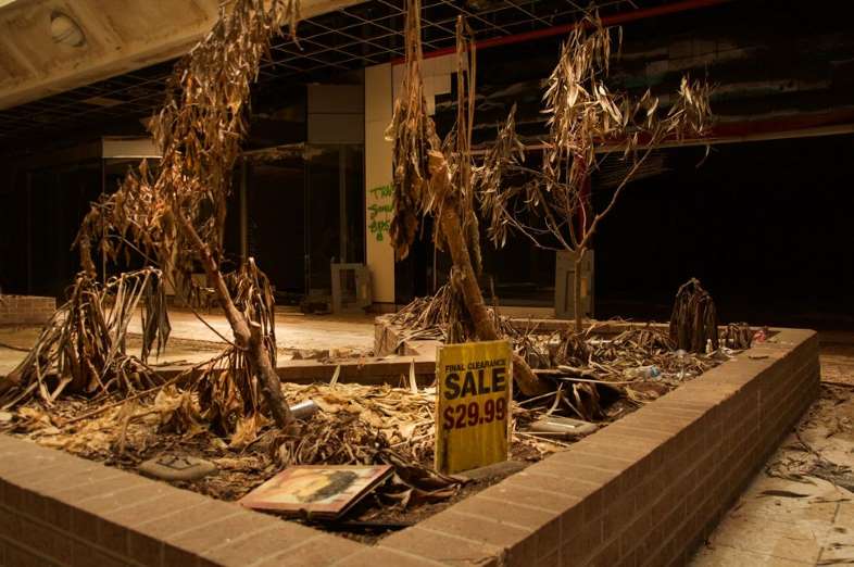 Scenes From an Abandoned Mall