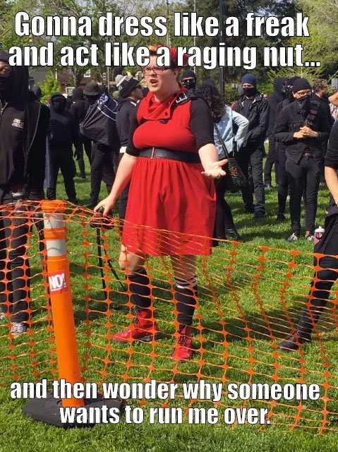 Antifa Fairy