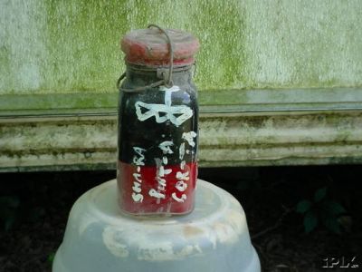 Ghost in a Jar- A jar that a man believed to contain a ghost was put up for auction on eBay because it was terrorizing its owner. The seller, Teajay101, claimed that he “would not be held responsible” if the “black thing” escaped the jar, and that “all sales are final.” After numerous bids, the jar sold for just around $55,000 but the buyer never paid for the item in the end.