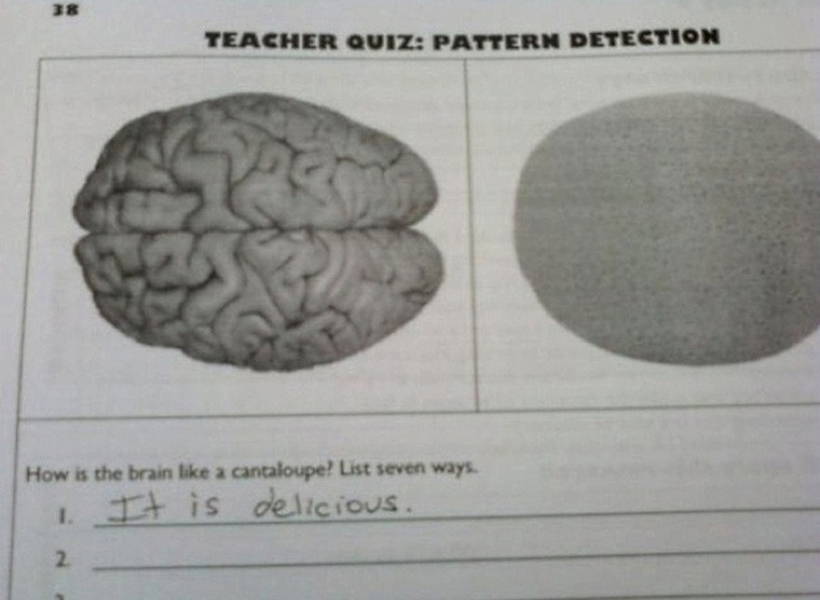 funny test answers - Teacher Quiz Pattern Detection How is the brain a cantaloupe? List seven ways 1. It is delicious.