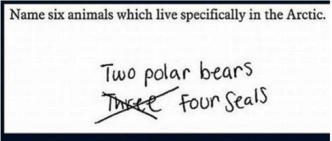 funny exam answers by students - Name six animals which live specifically in the Arctic. Two polar bears The Four Seals