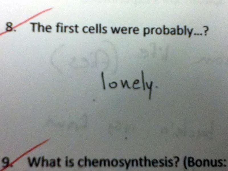 kid test answers that are wrong but right - 8. The first cells were probably...? lonely. 9. What is chemosynthesis? Bonus