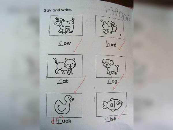 funny exam answers - Say and write. 32006 G 72 Sow bird an Cat dog a fuck fish